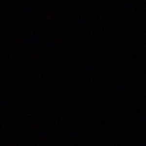 Meet your Posher, Nina